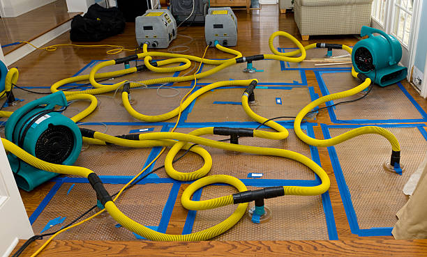 Professional Sewage Cleanup technician working in Manteca, CA
